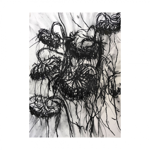 Dead sunflowers 2022 ca 40x30 cm charcoal and ink on paper