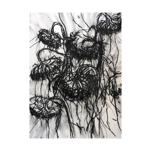 Dode zonnebloemen 2022 ca 40x30 cm siberich krijt, houtskool en inkt op papier