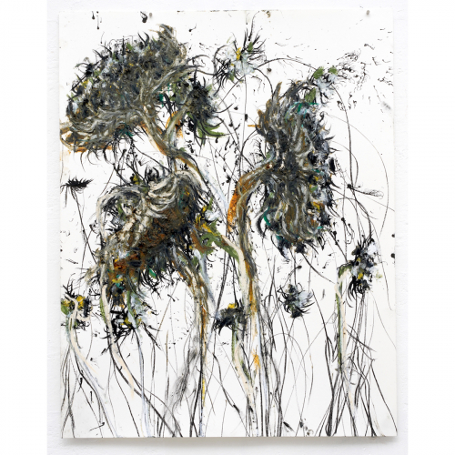 Dode zonnebloemen 2022 ca.65x50 cm houtskool, sibirisch krijt, inkt en oliestick op papier