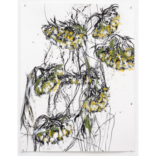 Dode zonnebloemen 2022 ca.65x50 cm houtskool, sibirisch krijt, inkt en oliestick op papier