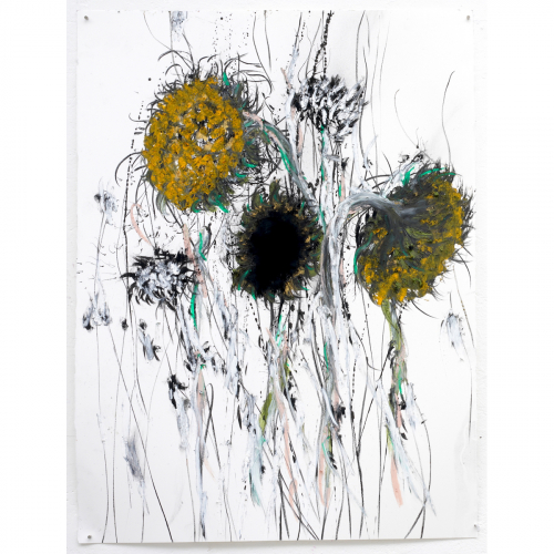 Dode zonnebloemen 2022 ca.76x56 cm houtskool, sibirisch krijt, inkt en oliestick op papier