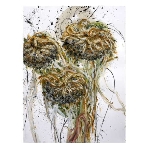 Dode zonnebloemen 2023 76x56 cm, houtskool, sibirisch krijt, inkt en oilstick op papier