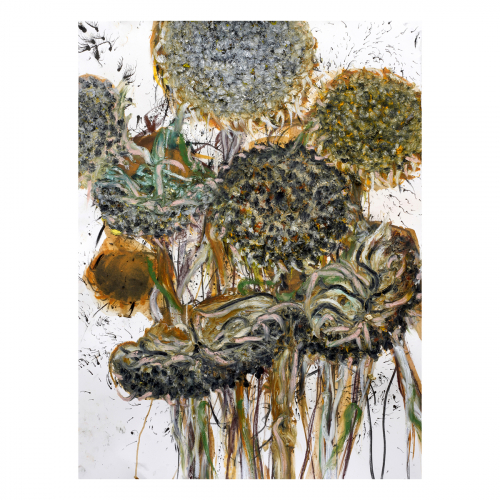 Dode zonnebloemen 2023 76x56 cm, houtskool, sibirisch krijt, inkt en oilstick op papier