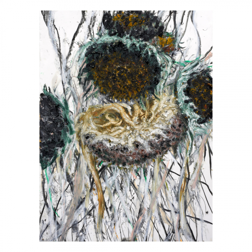 Dode zonnebloemen 2023 76x56 cm, houtskool, sibirisch krijt, inkt en oilstick op papier