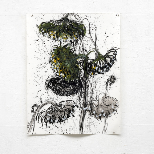 Dying sunflowers 50x65 cm mixed media 2023